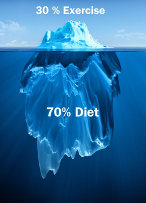 Podiumfit.ie - Professional Diet Analysis